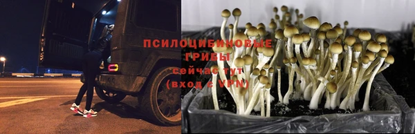 герыч Аркадак