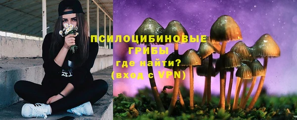 эйфоретик Армянск