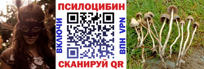 хочу наркоту Артёмовский Галлюциногенные грибы Psilocybine cubensis